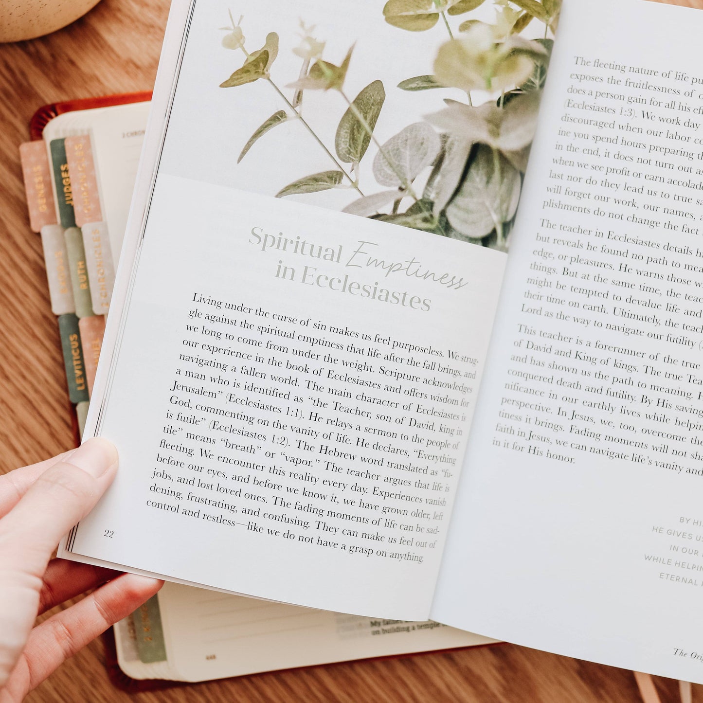 Faith Questions | Purpose Study