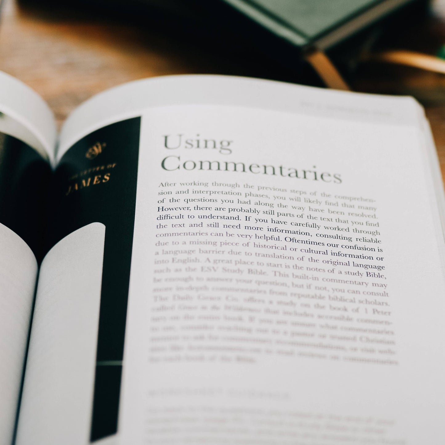 Search the Word Study for Men