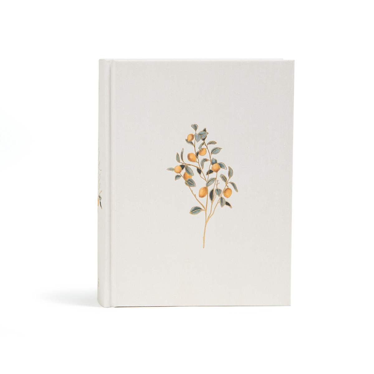 CSB Notetaking Bible | Hosanna’s Orchard