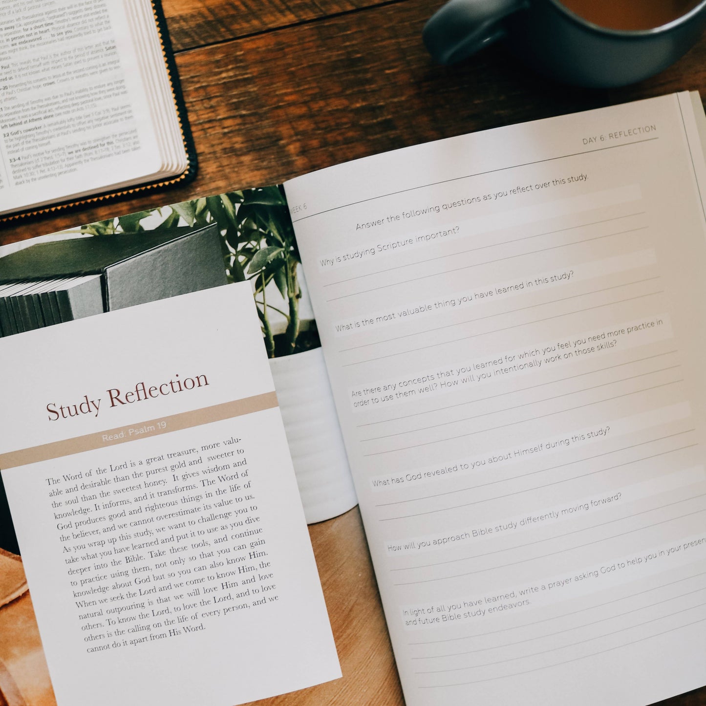 Search the Word Study for Men