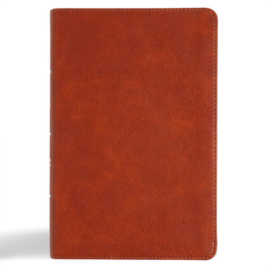 CSB Large Print Bible | Burnt Sienna