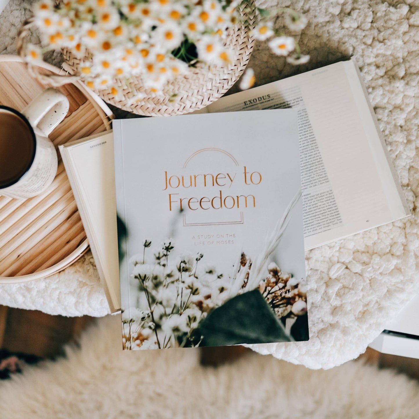 Journey to Freedom Study