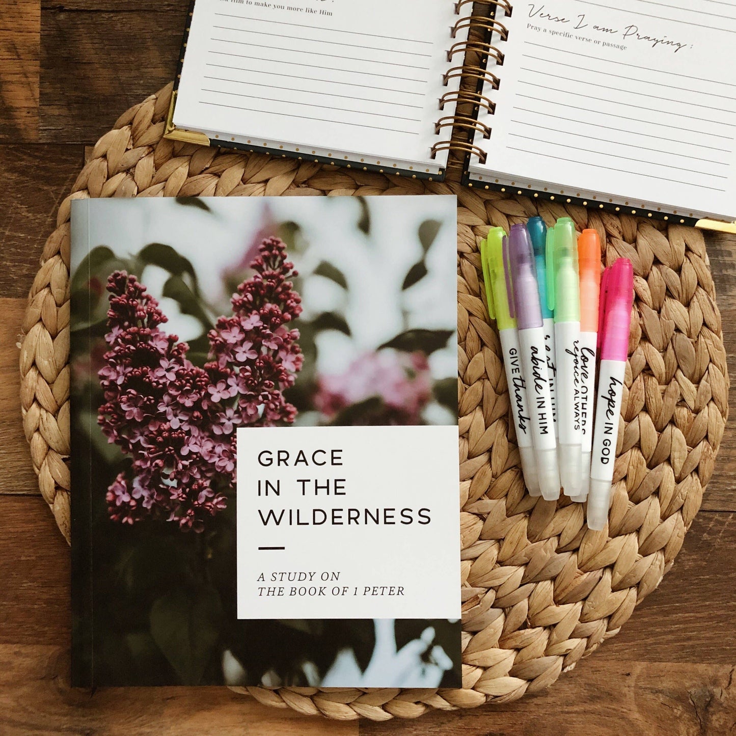 Grace in the Wilderness Study