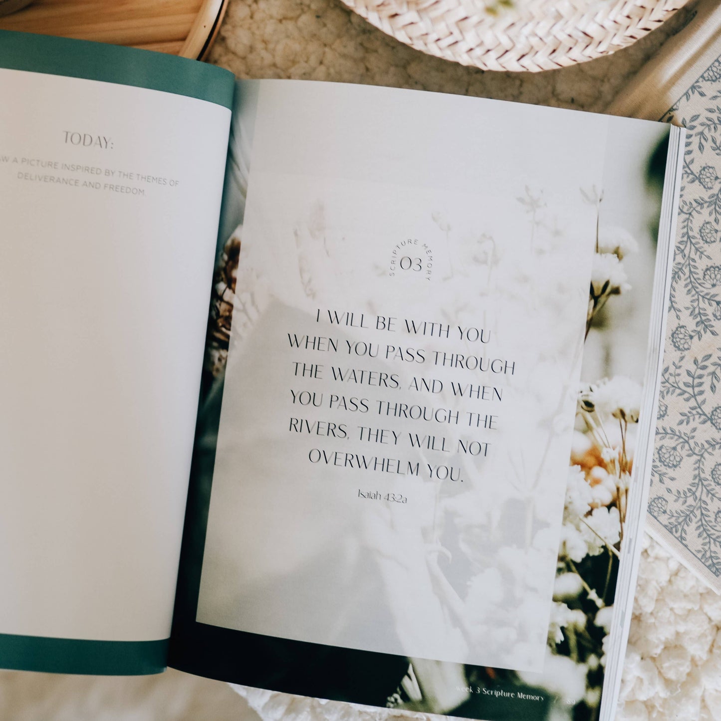 Journey to Freedom Study