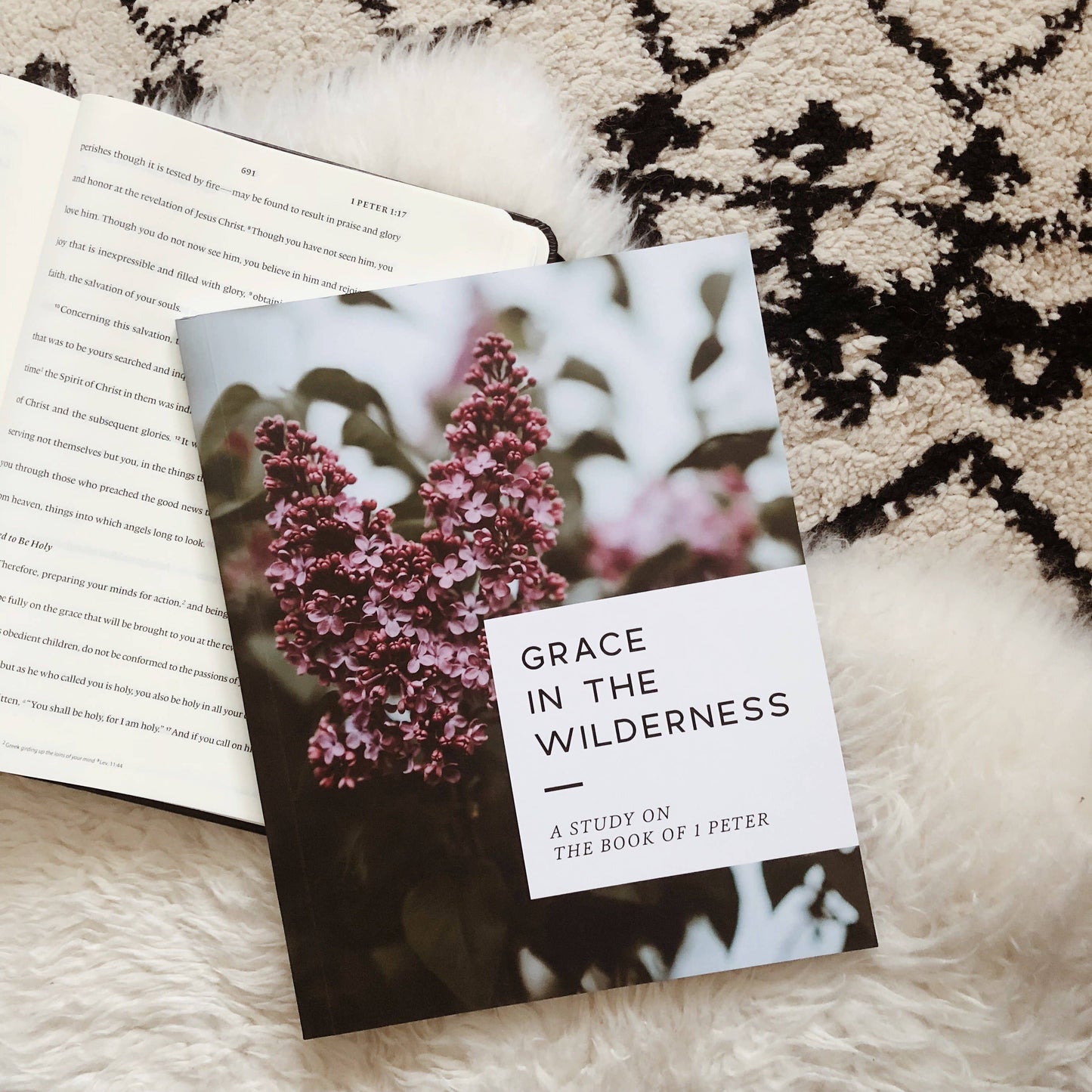 Grace in the Wilderness Study