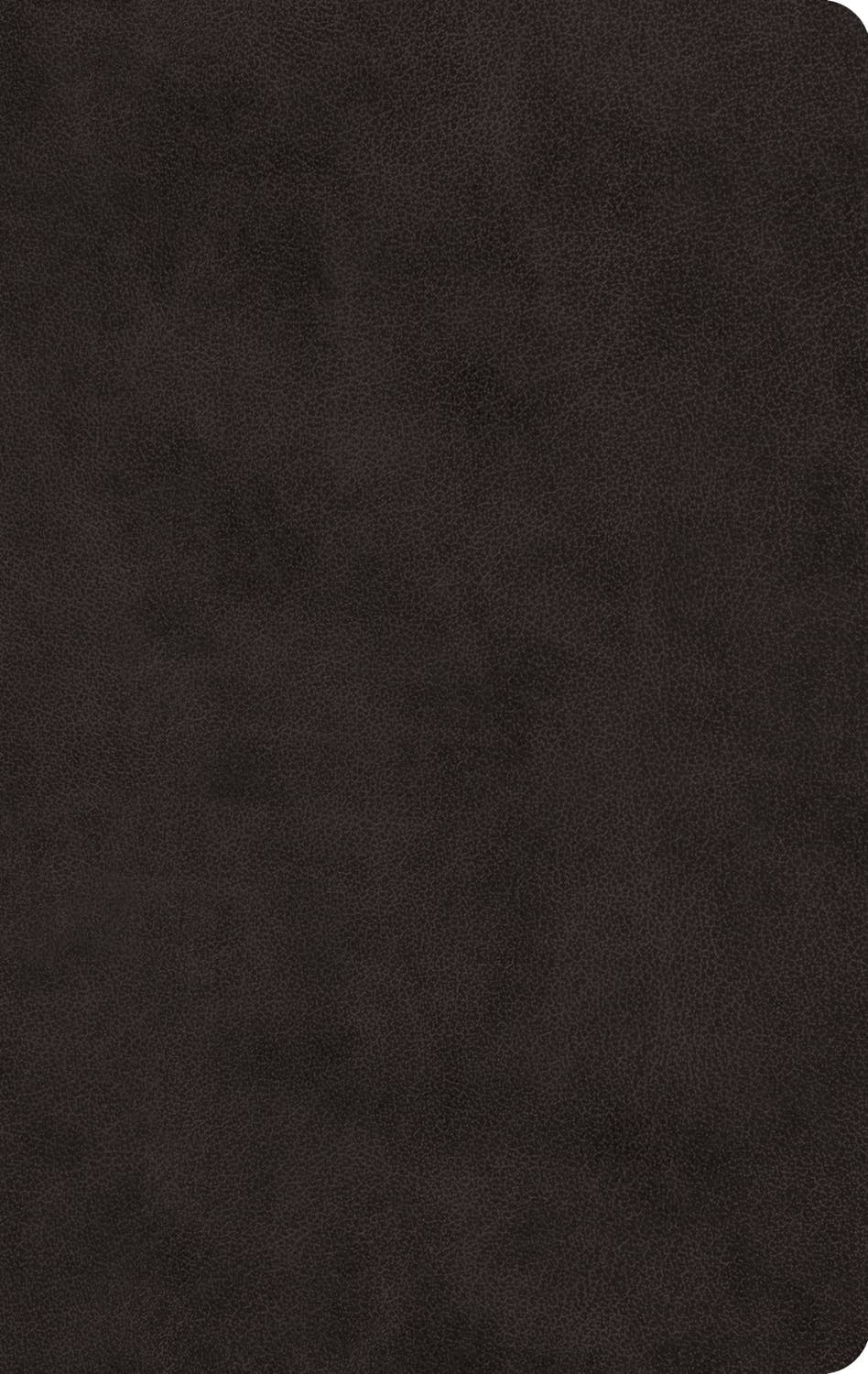 ESV Black Thinline Bible