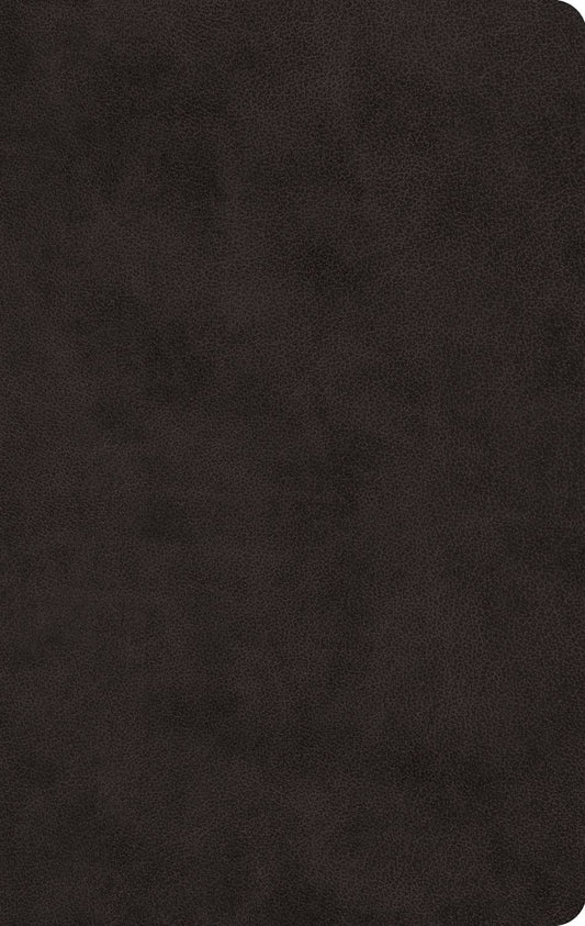 ESV Black Thinline Bible