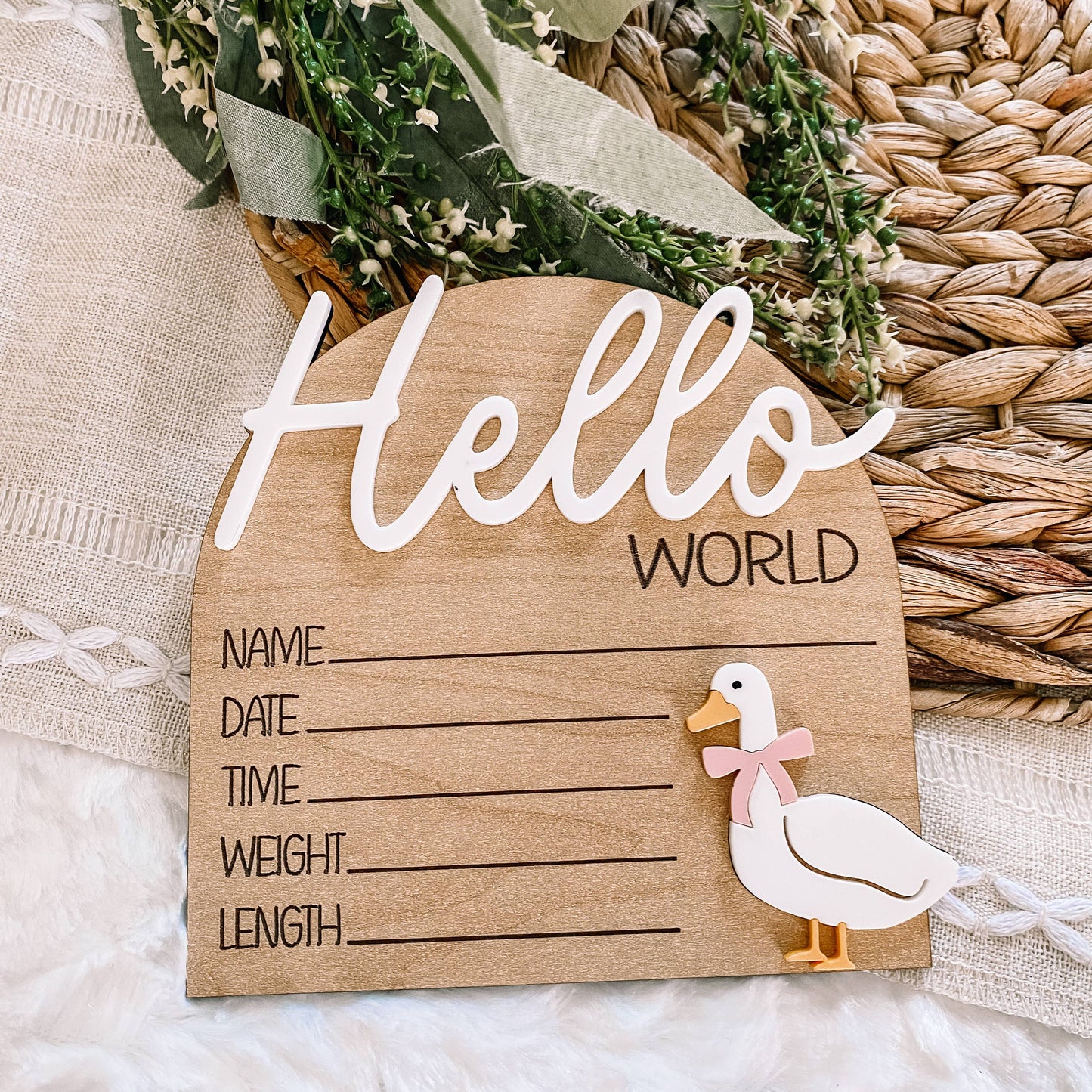 Hello World Birth Stat Goose Sign