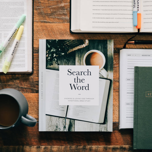 Search the Word Study for Men