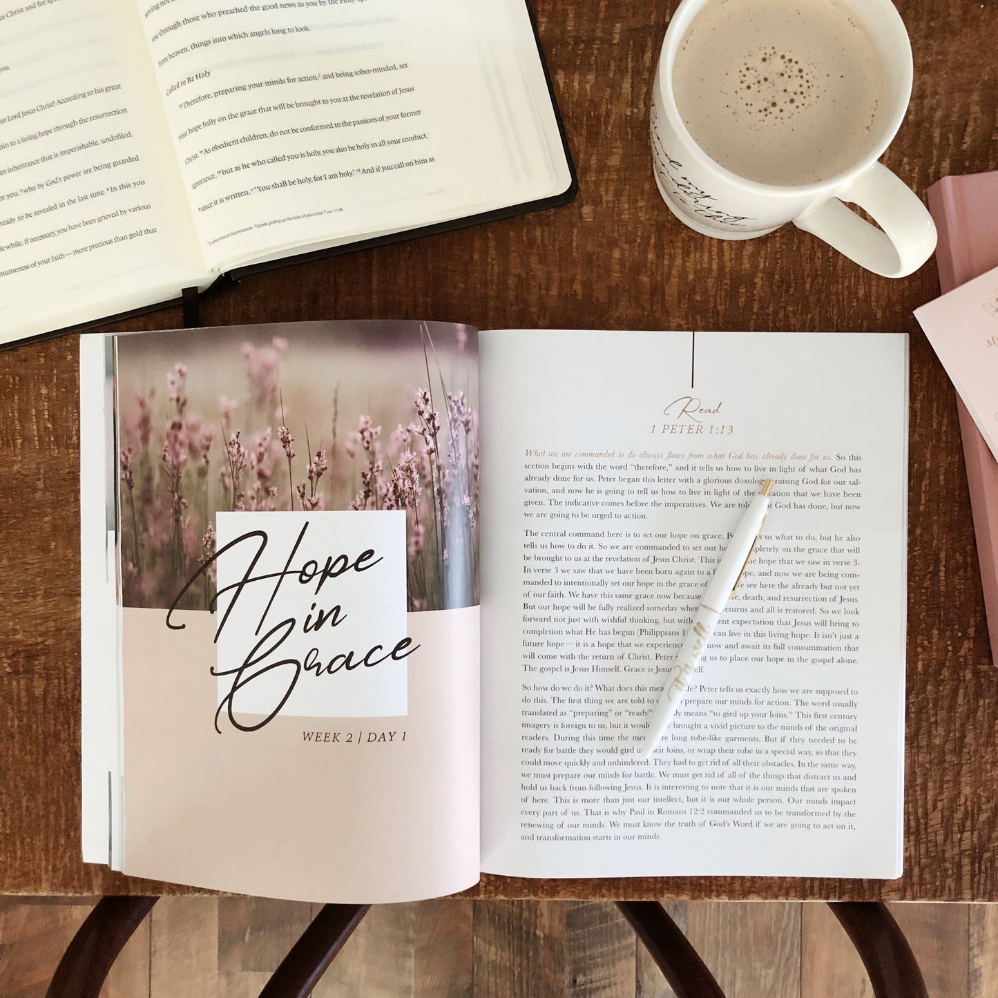 Grace in the Wilderness Study