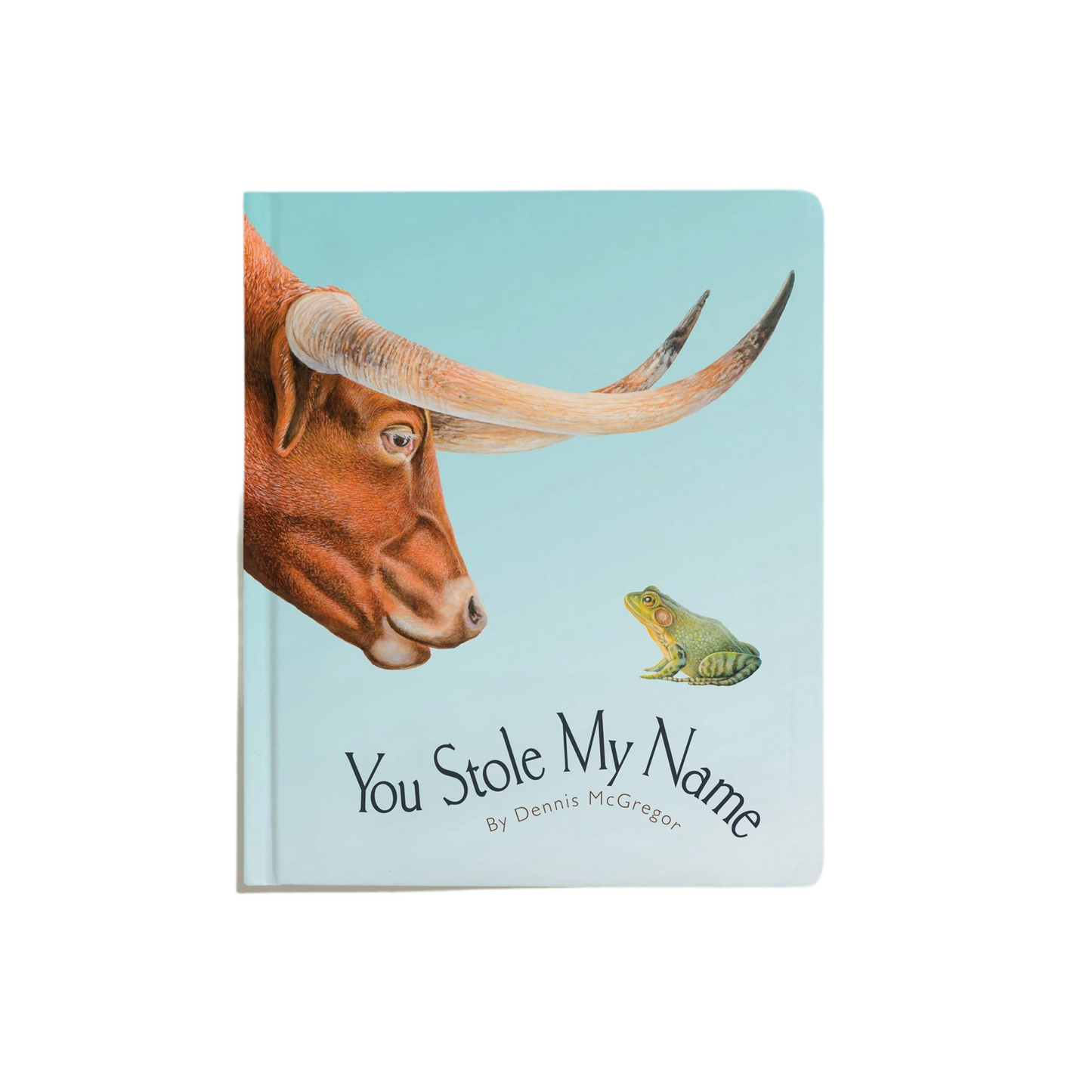 You Stole My Name: A Board Book for Baby