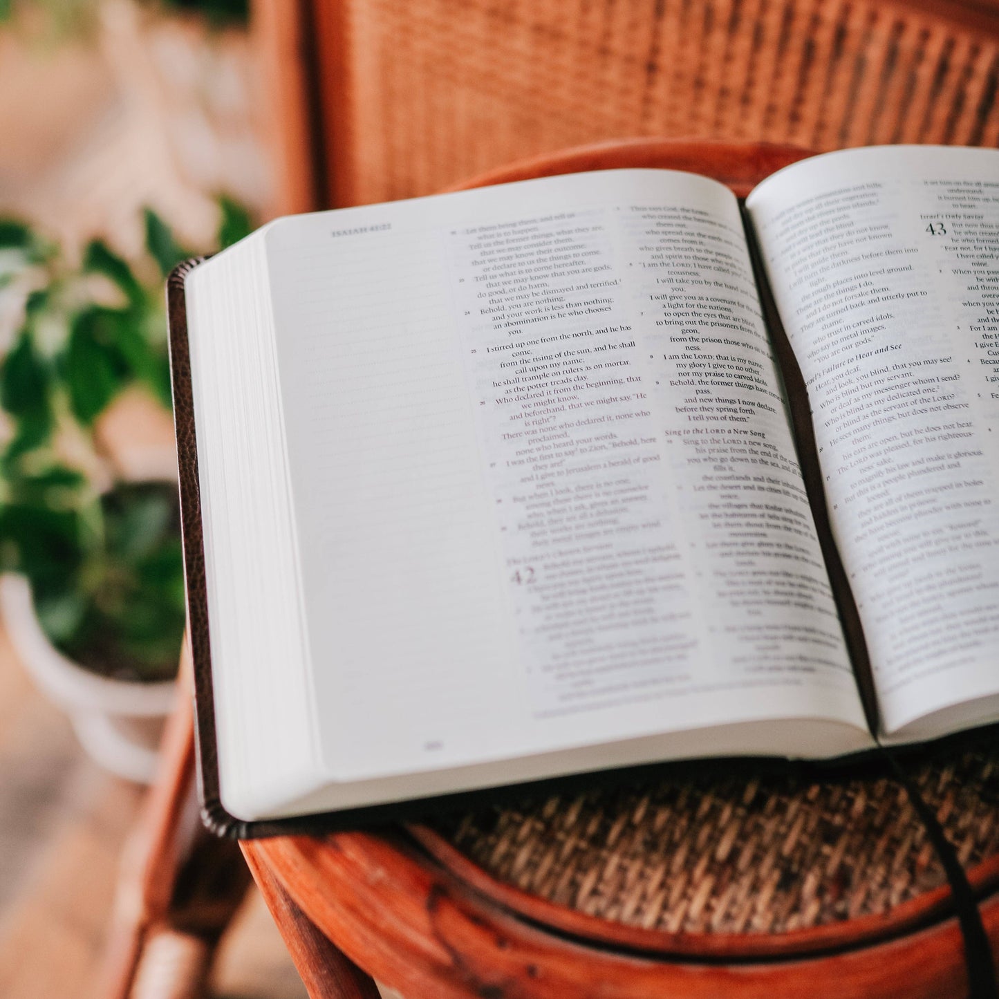 ESV Mocha Bonded Journaling Bible