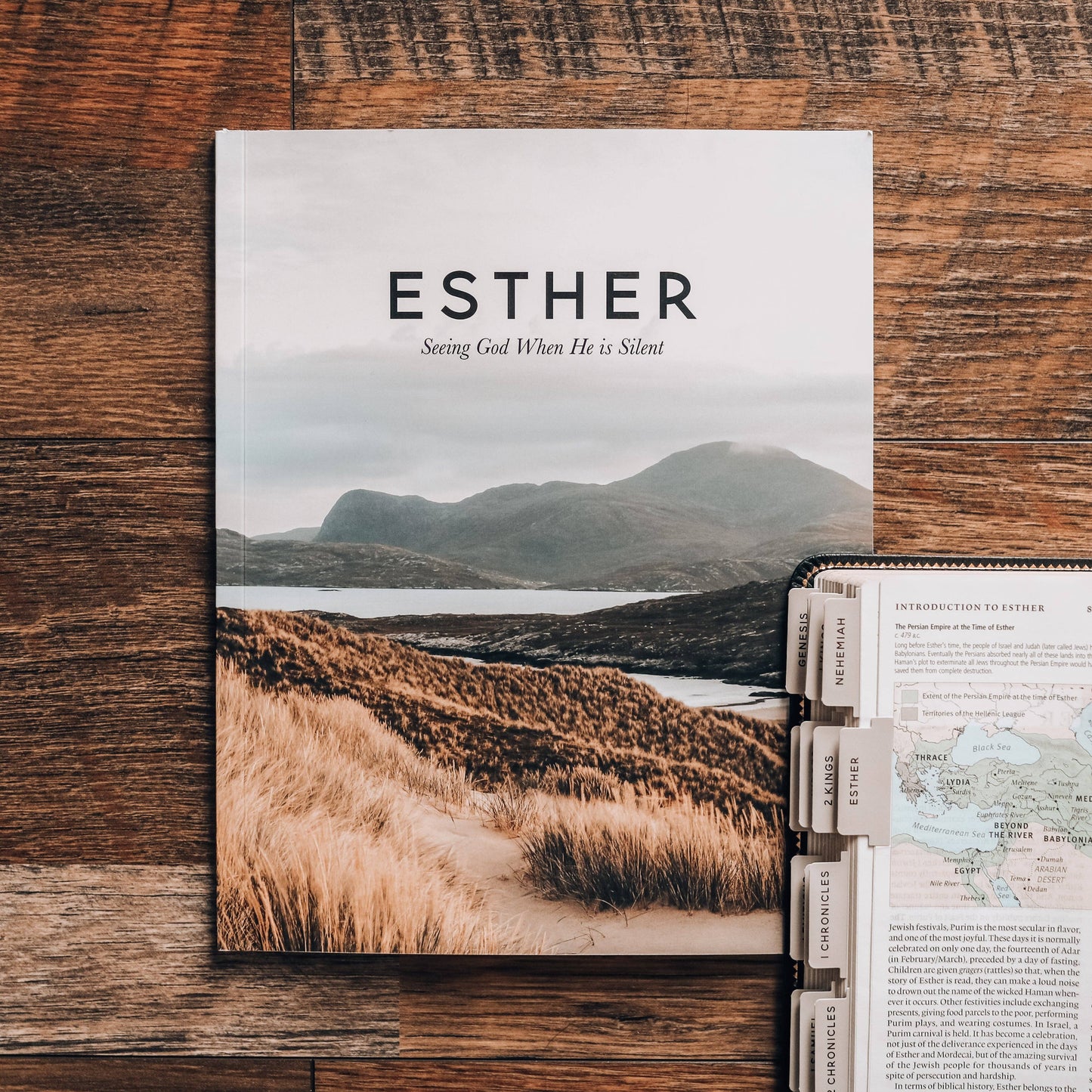 Esther | Seeing God When He Is Silent | Study for Men