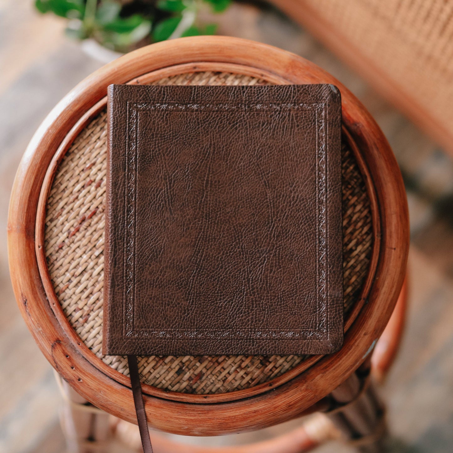 ESV Mocha Bonded Journaling Bible