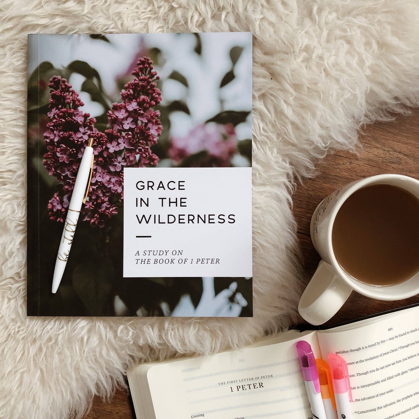 Grace in the Wilderness Study