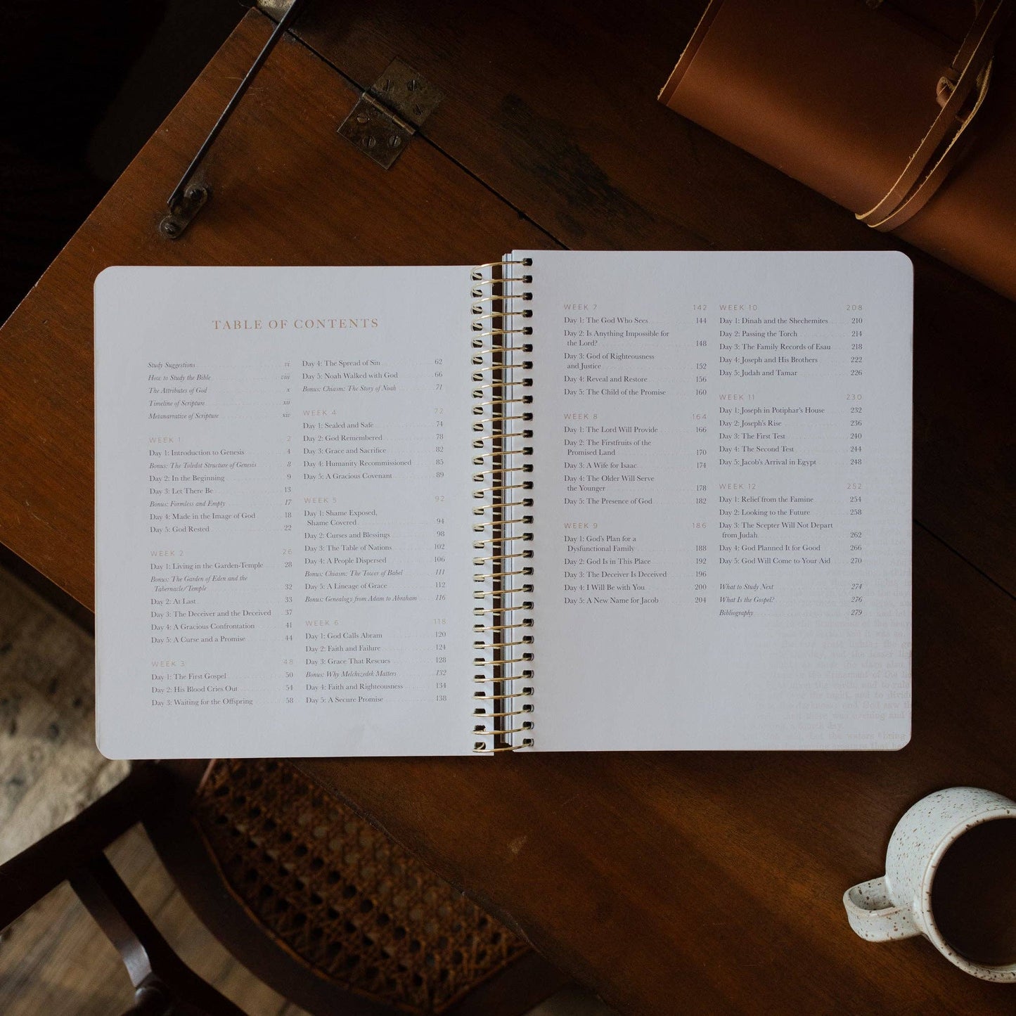 Genesis Bible Study