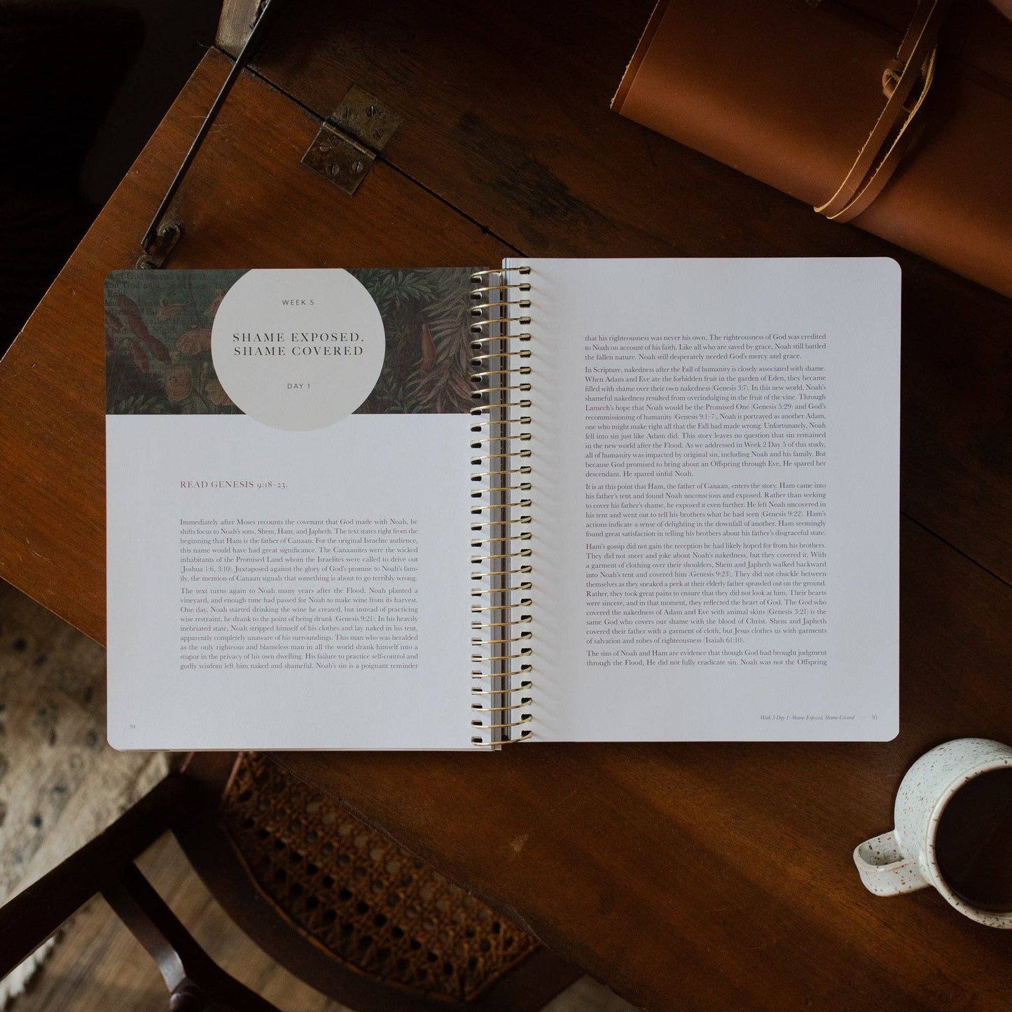 Genesis Bible Study