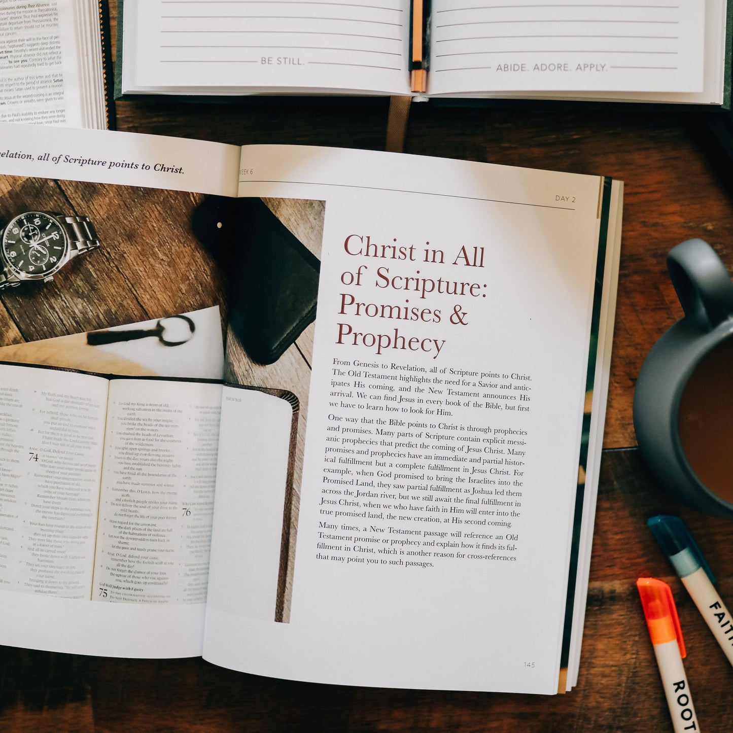 Search the Word Study for Men