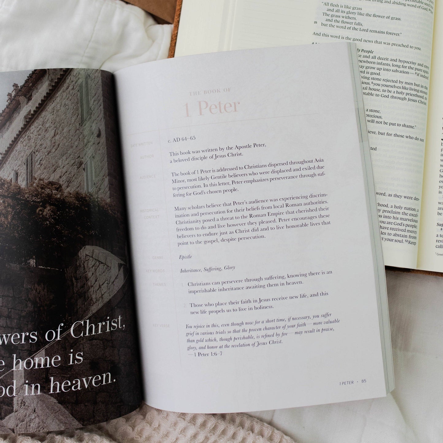 Behold: New Testament | Volume 4 Study