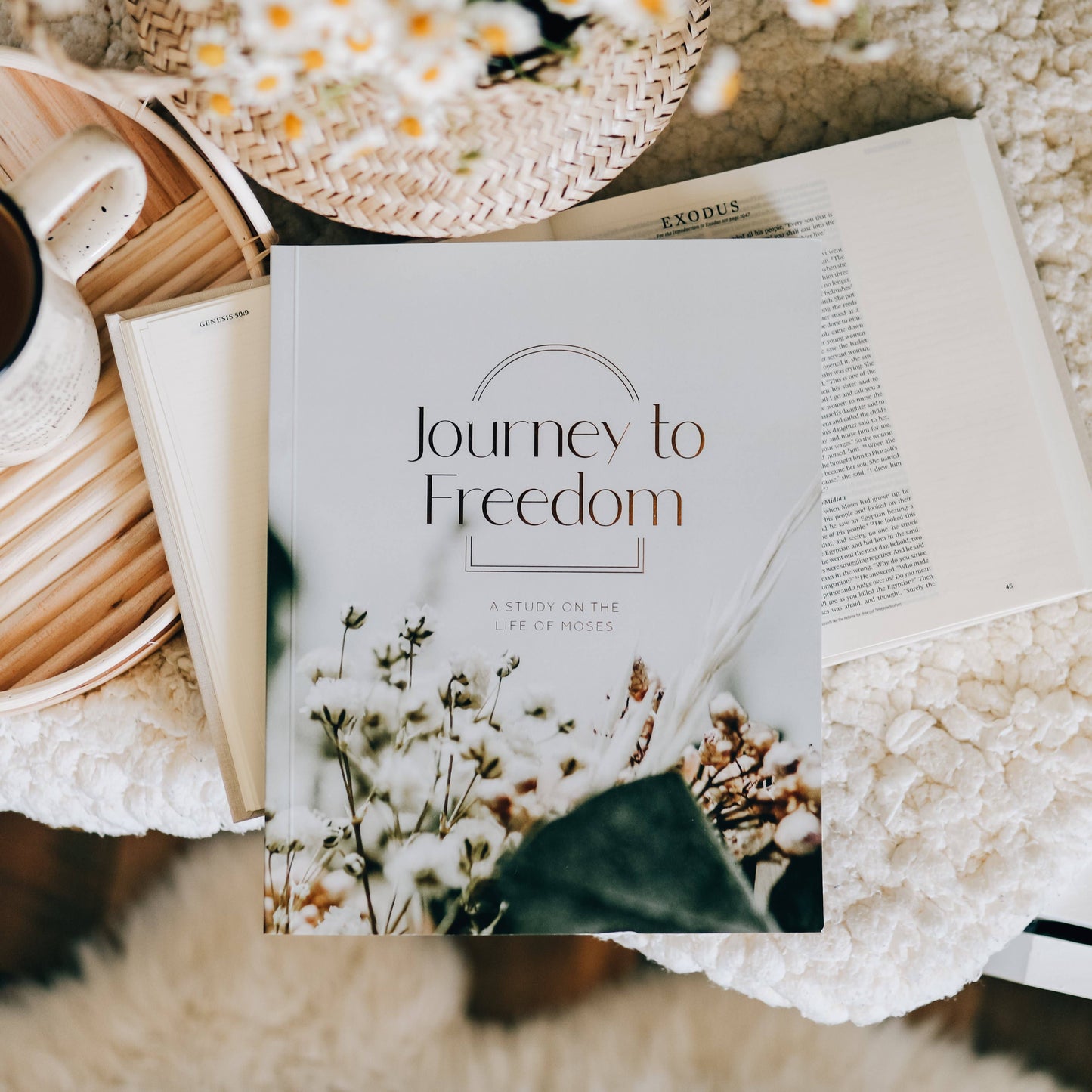 Journey to Freedom Study
