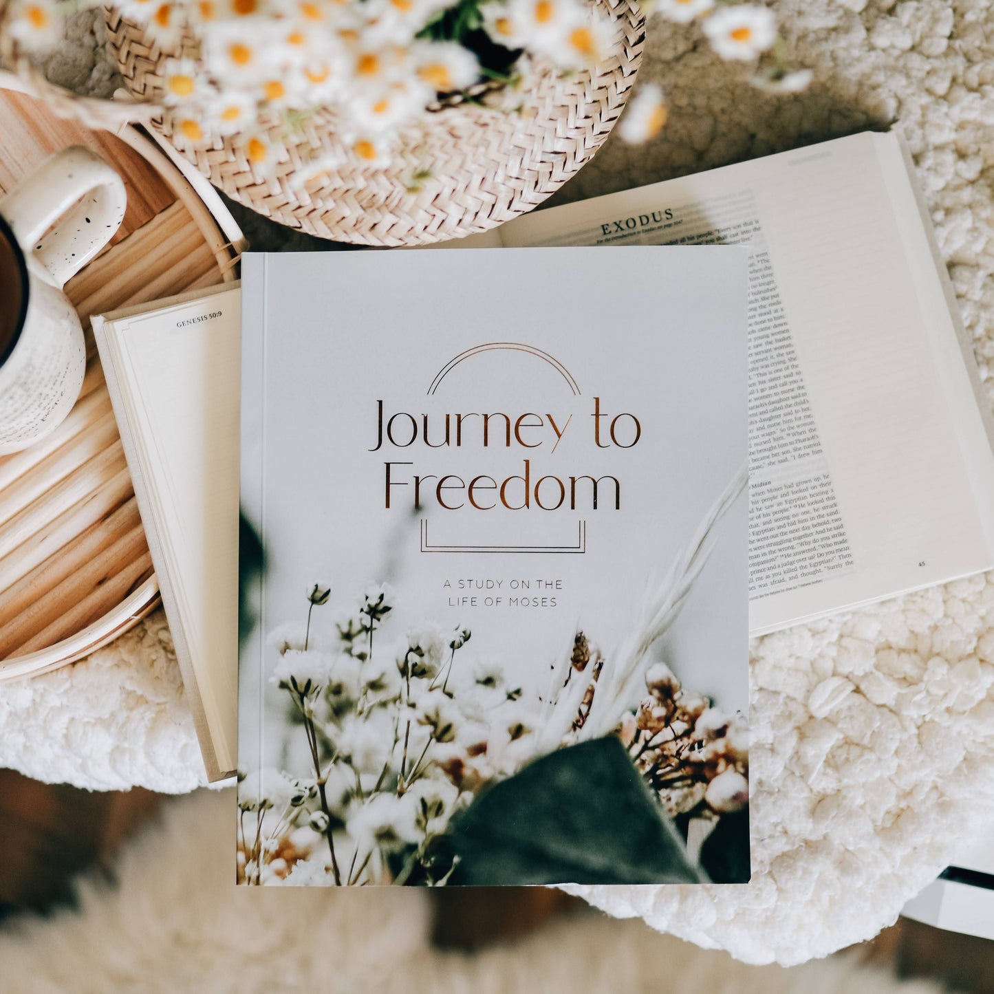 Journey to Freedom Study
