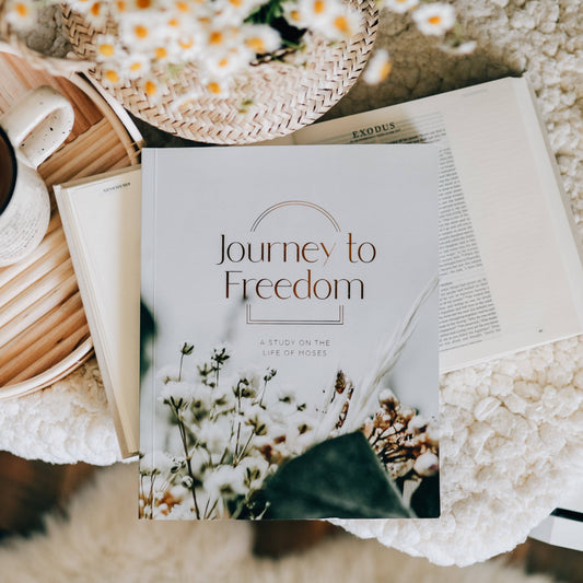 Journey to Freedom Study