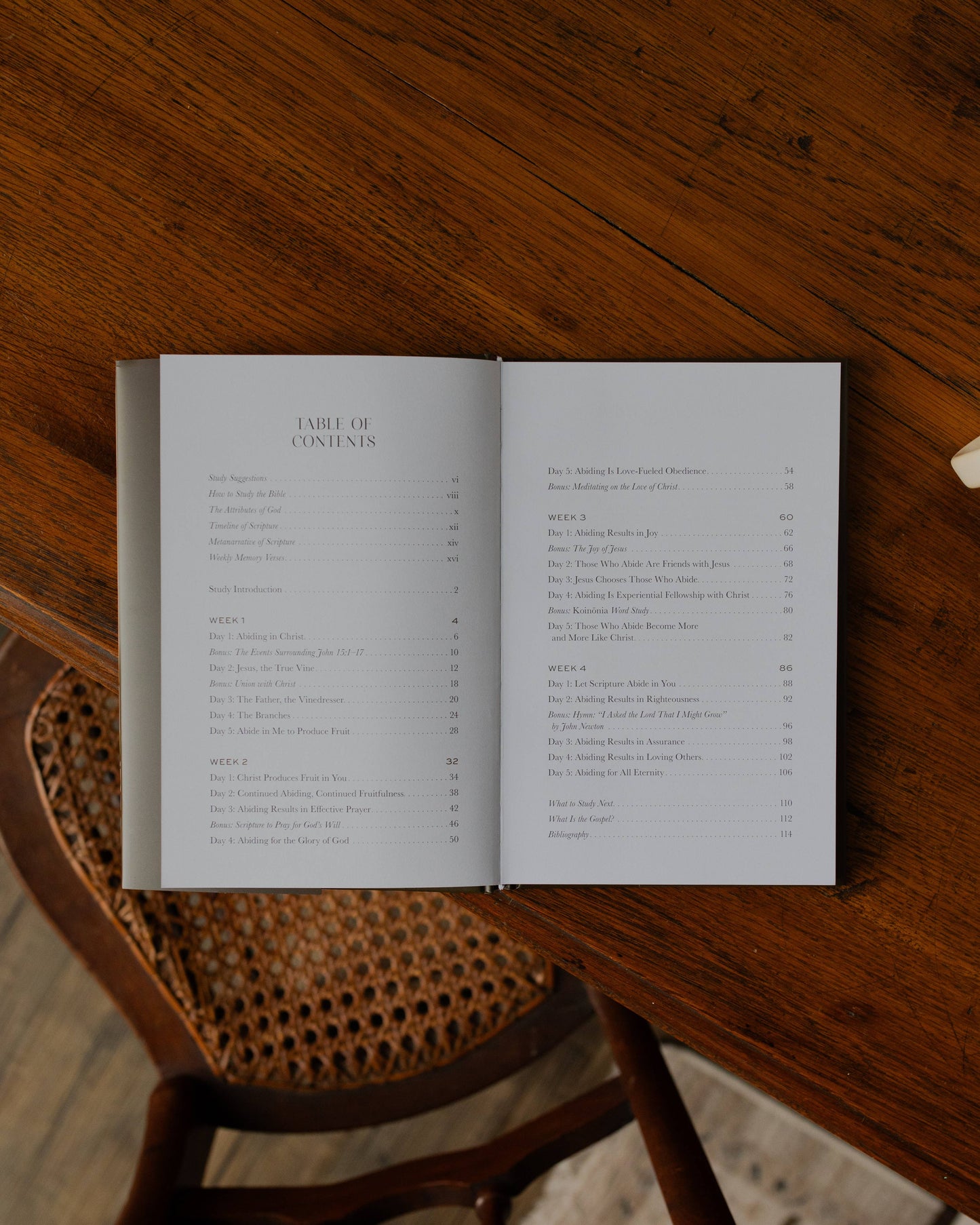 Abide Bible Study