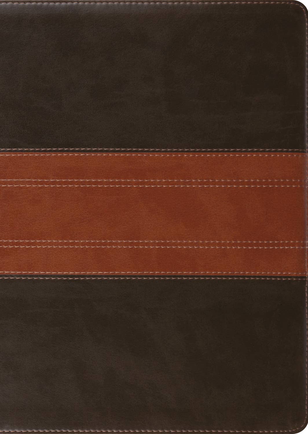ESV Large Print Study Bible
