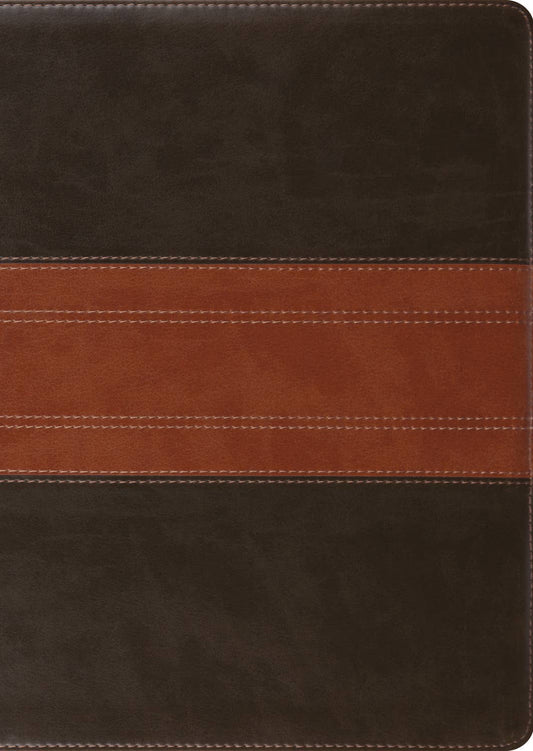 ESV Large Print Study Bible