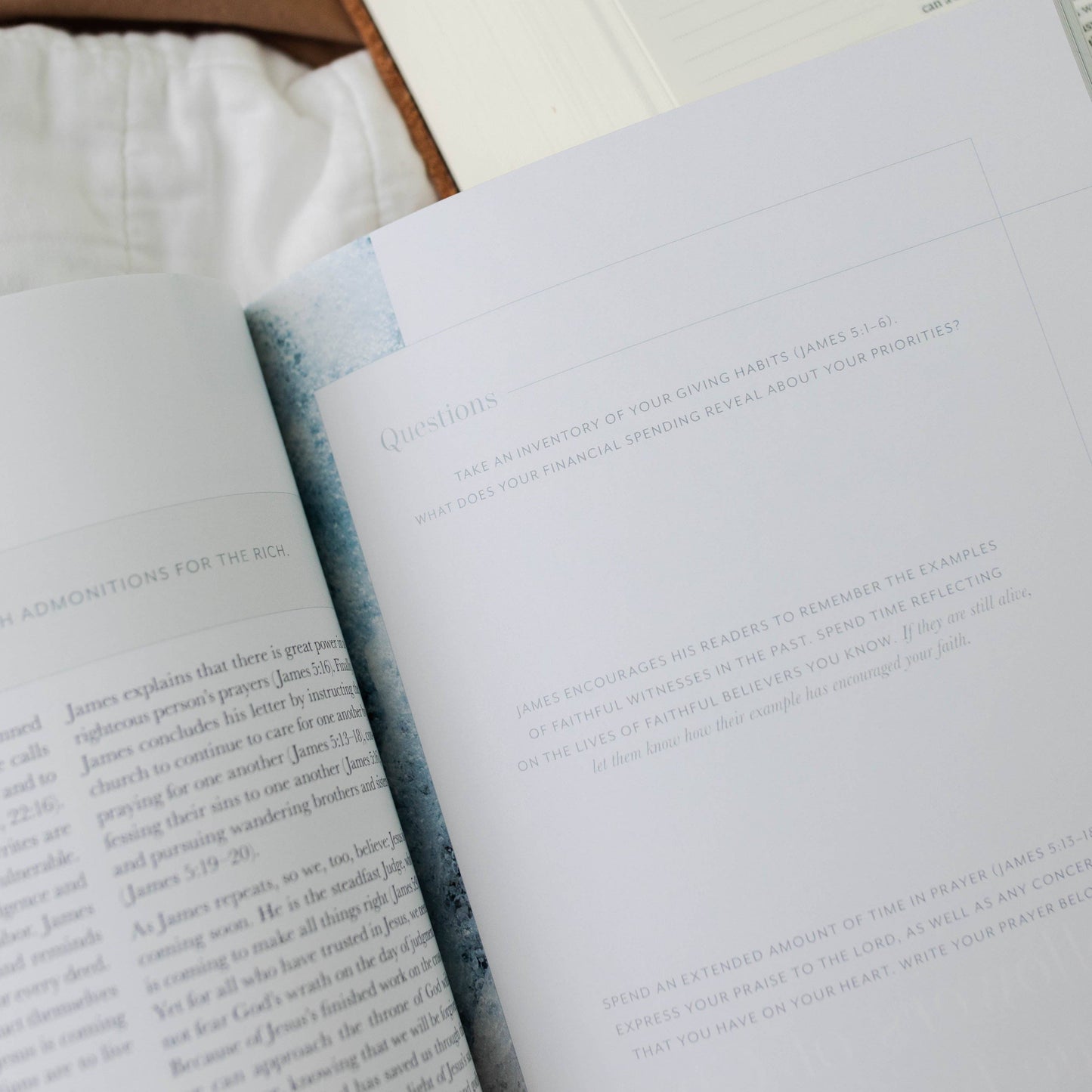 Behold: New Testament | Volume 4 Study