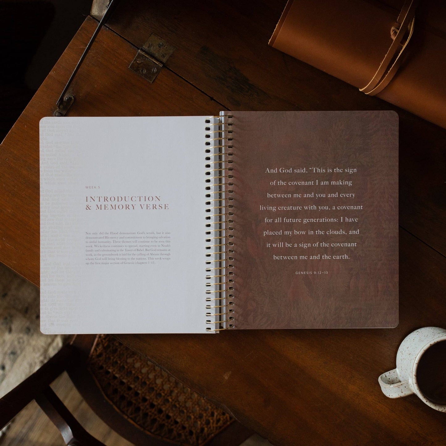 Genesis Bible Study