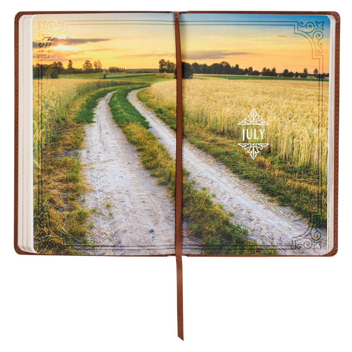 Devotional Walking with God Large Print