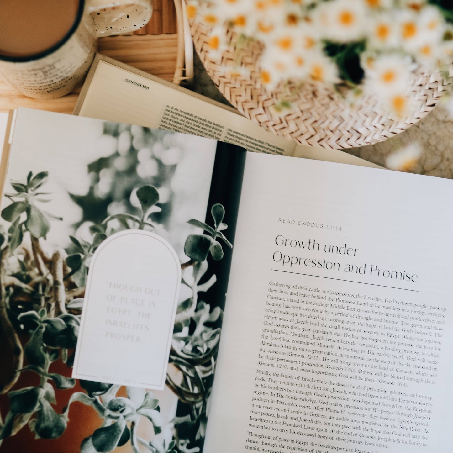 Journey to Freedom Study