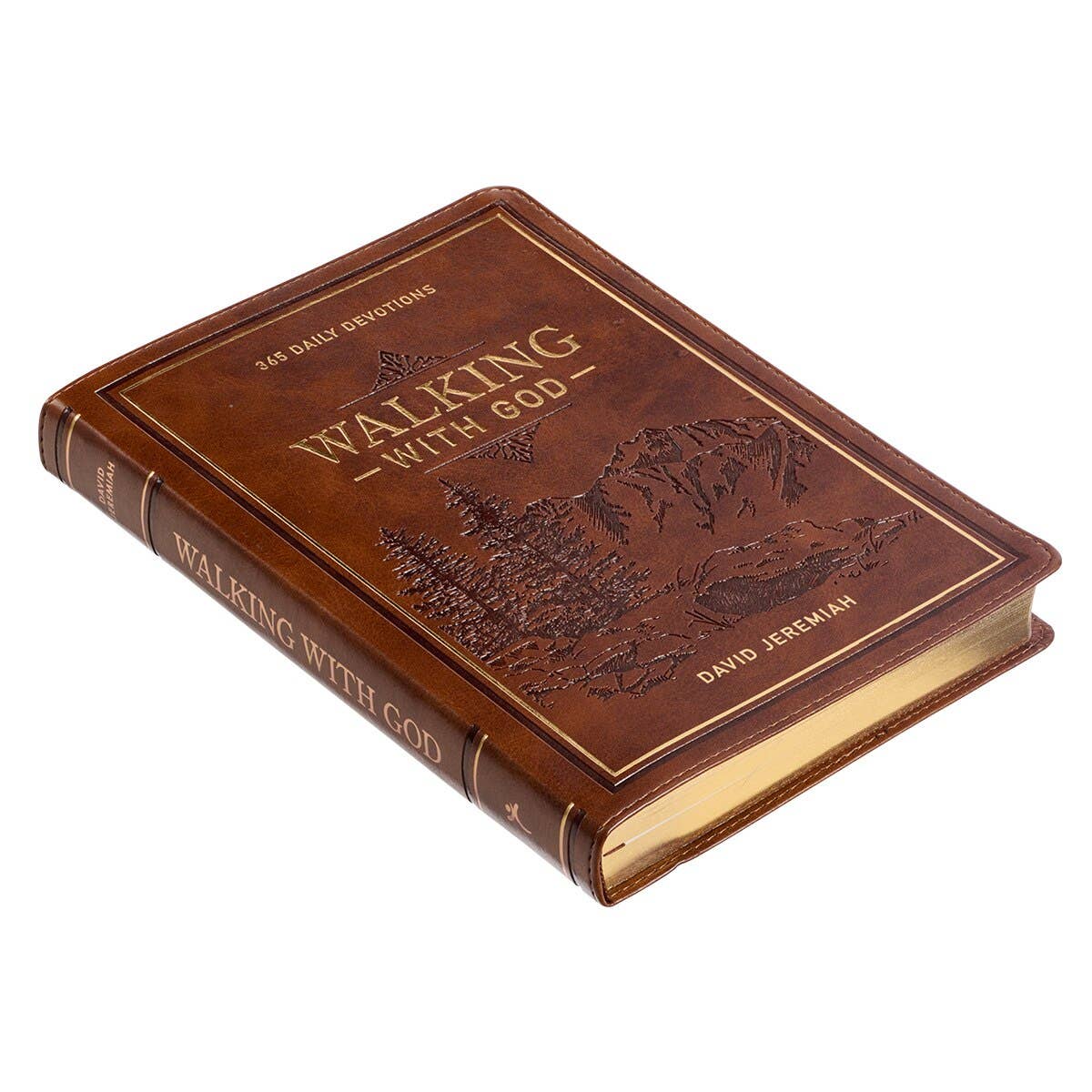 Devotional Walking with God Large Print