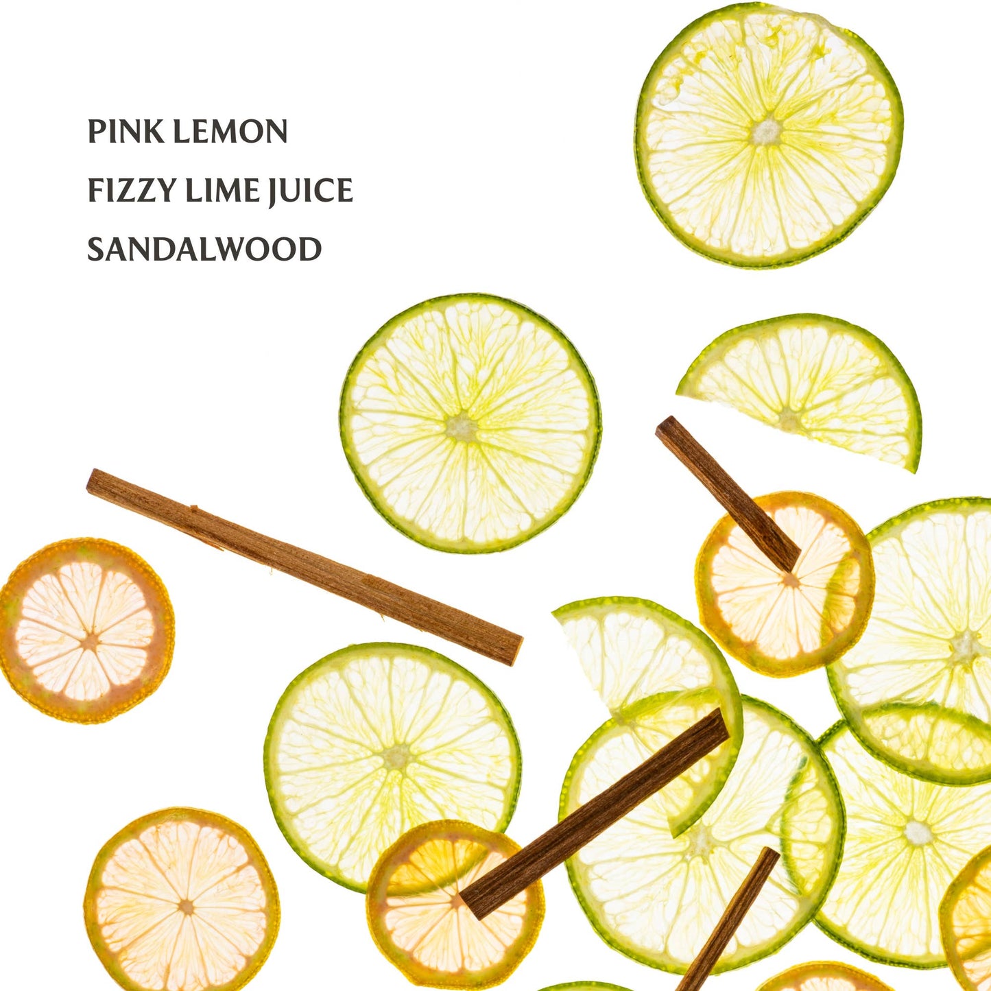 Lemon Lime Hand Sanitizer