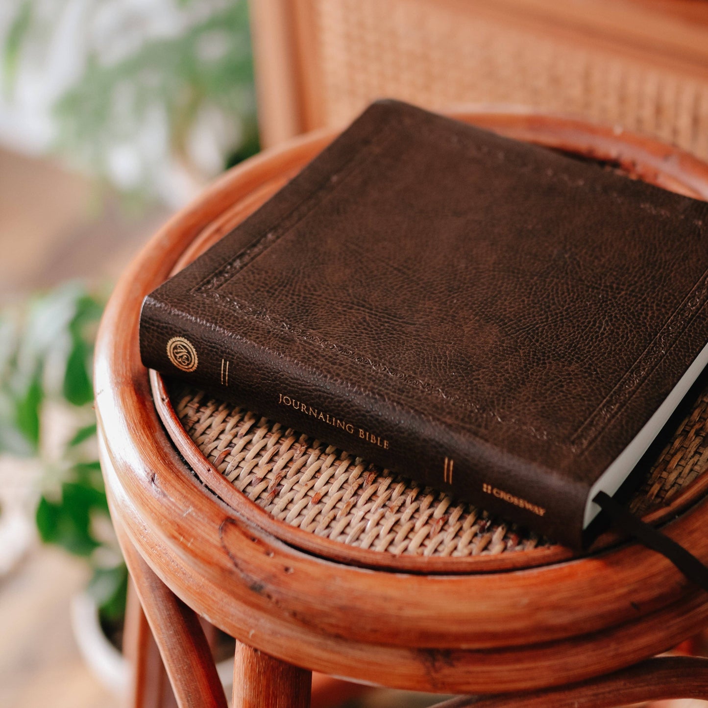 ESV Mocha Bonded Journaling Bible