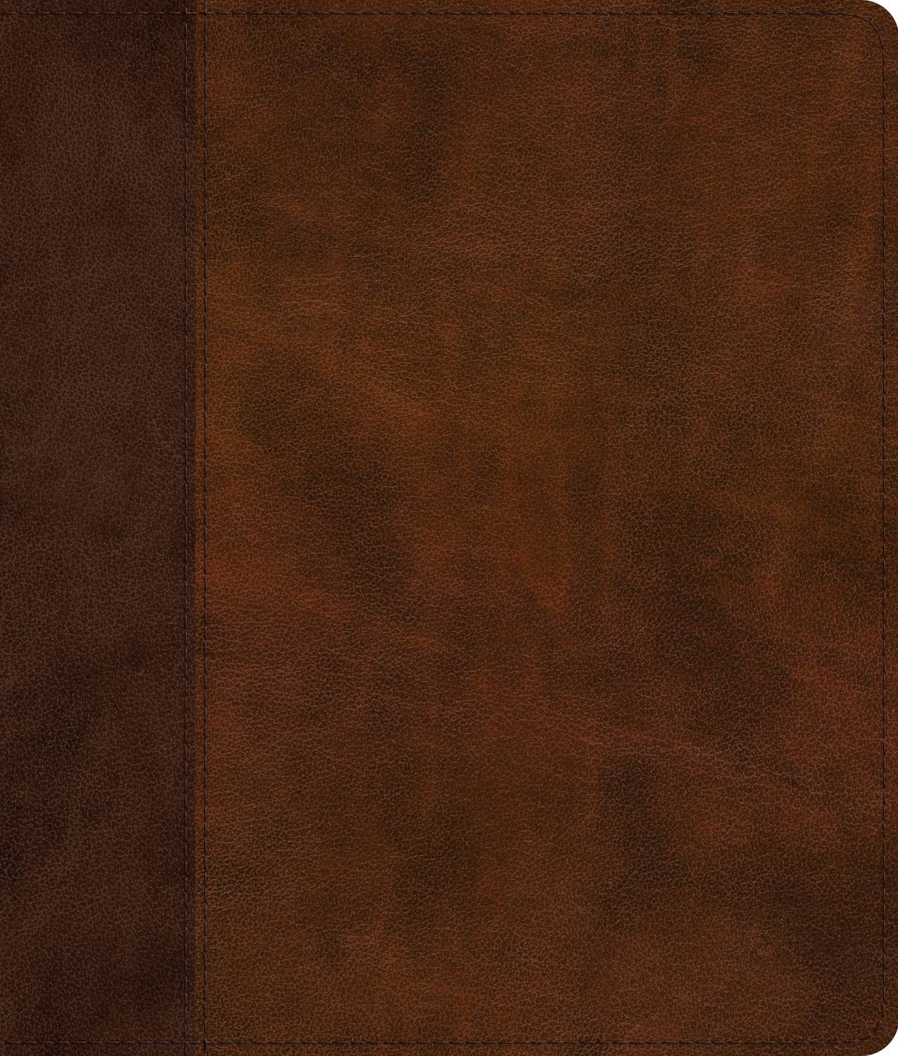 ESV TruTone Journaling Bible