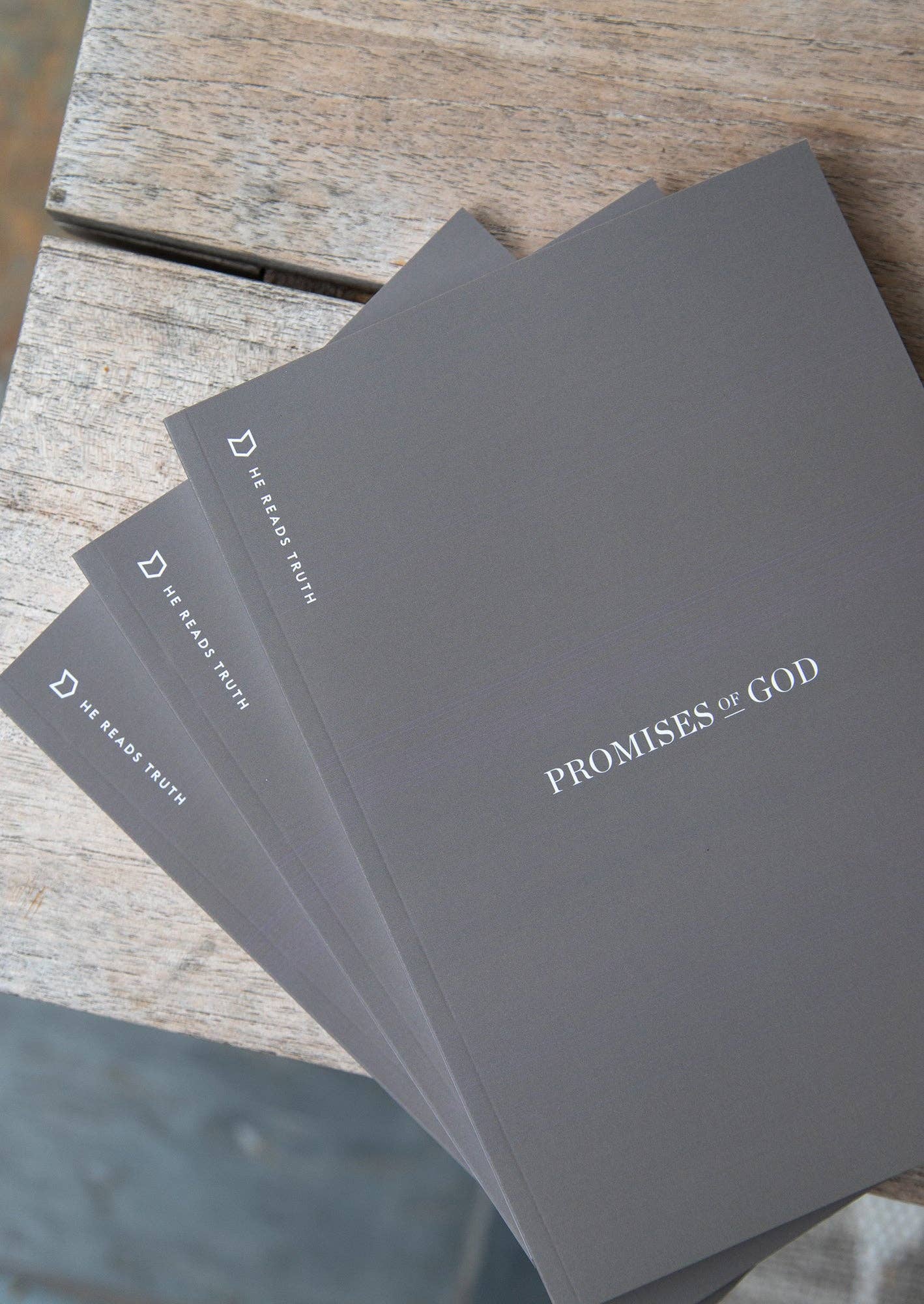 Promises of God Men's Reading Guide