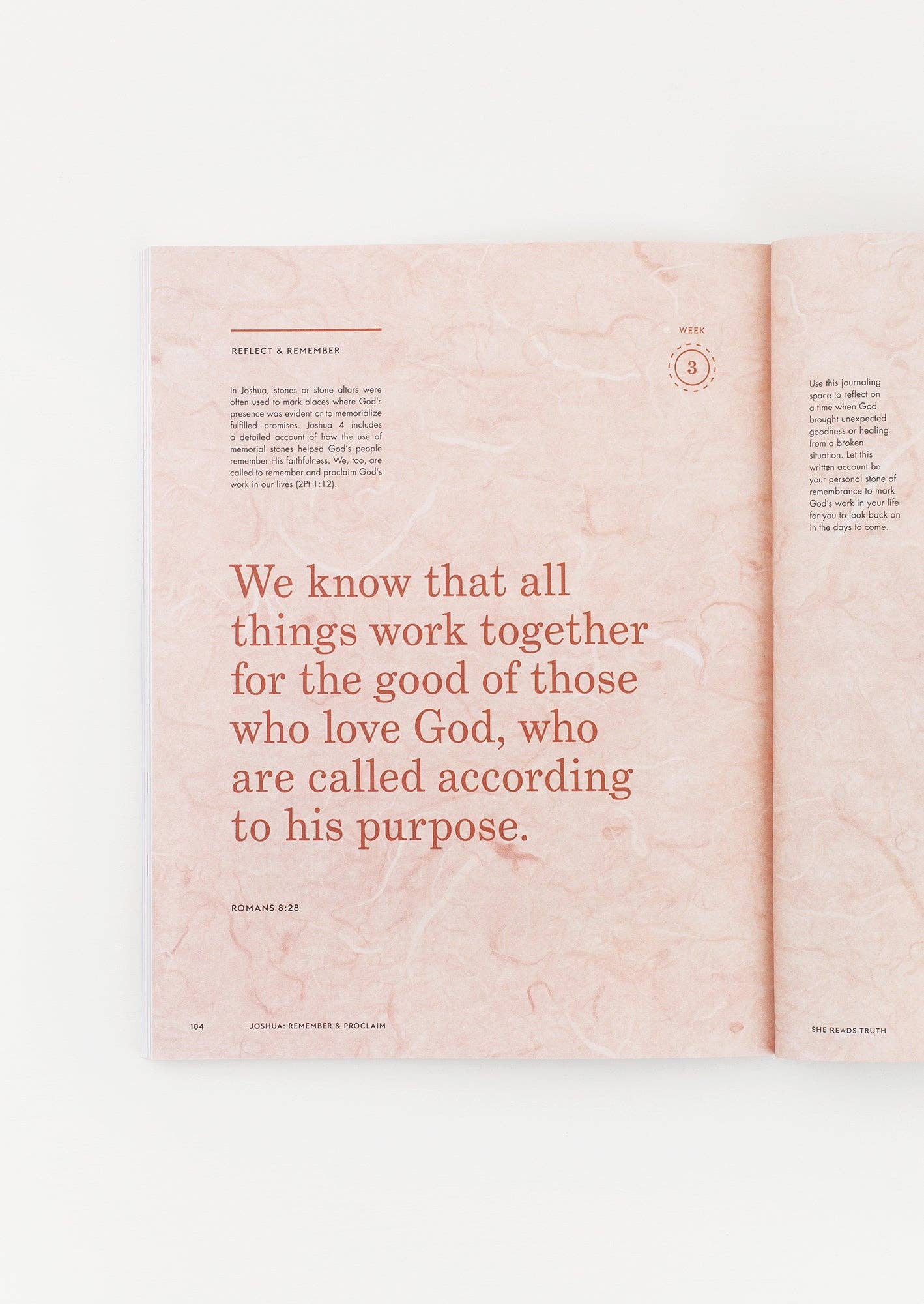 Joshua Study Book