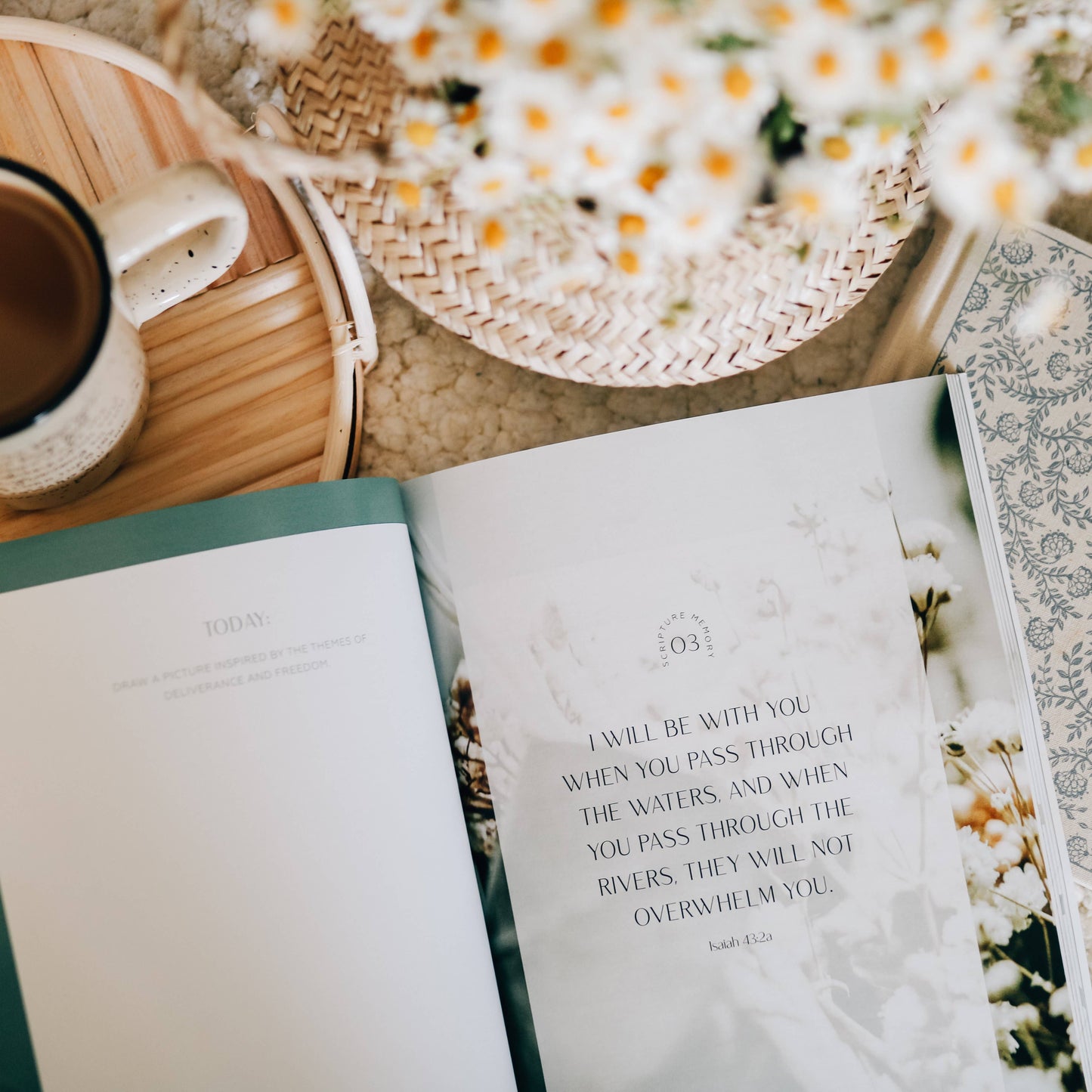 Journey to Freedom Study