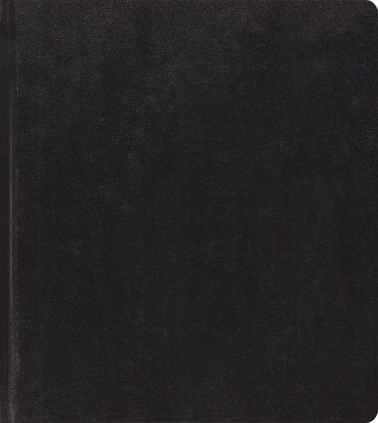 ESV Noir Journaling Study Bible