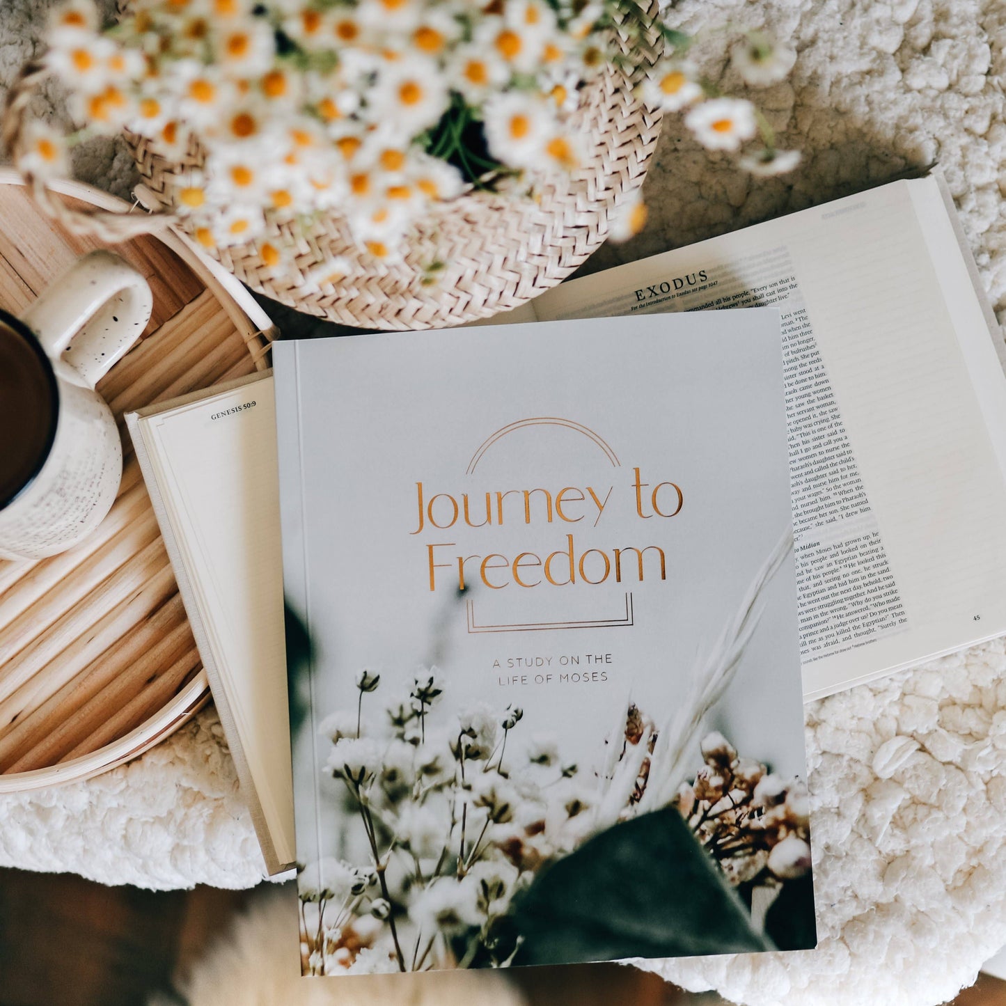 Journey to Freedom Study