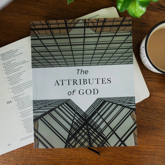 The Attributes of God Bible Study for Men