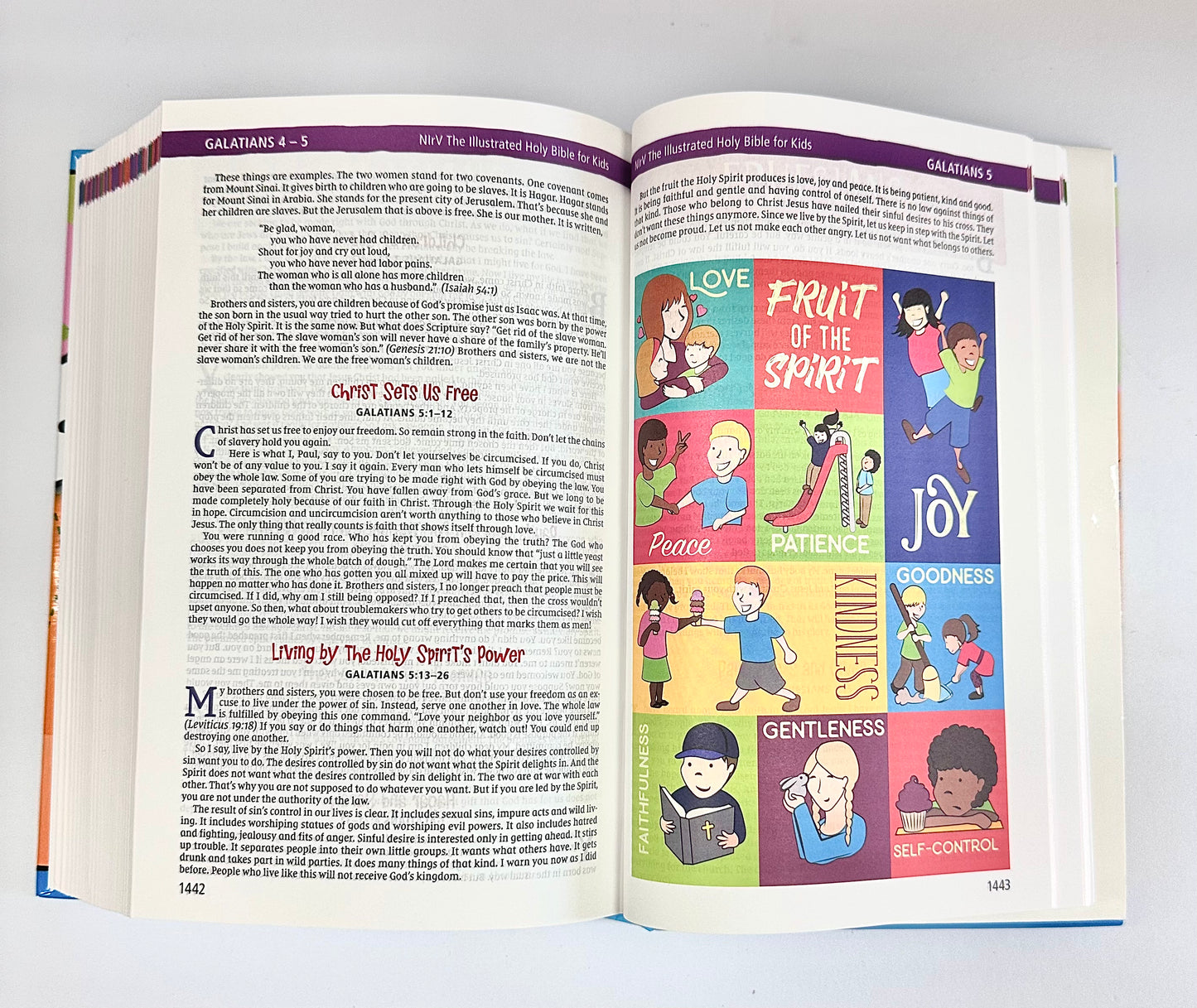 The Illustrated Holy Bible for Kids