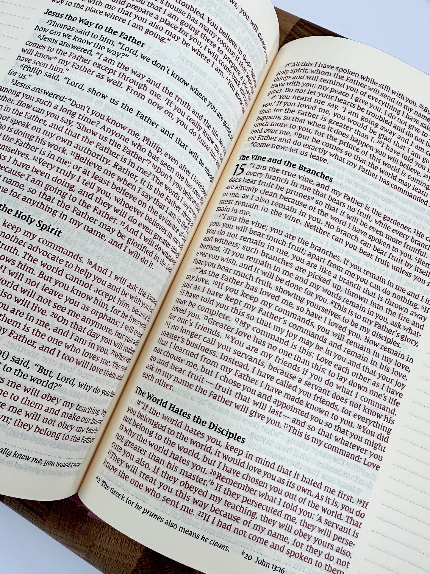 NIV Artisan Collection Bible