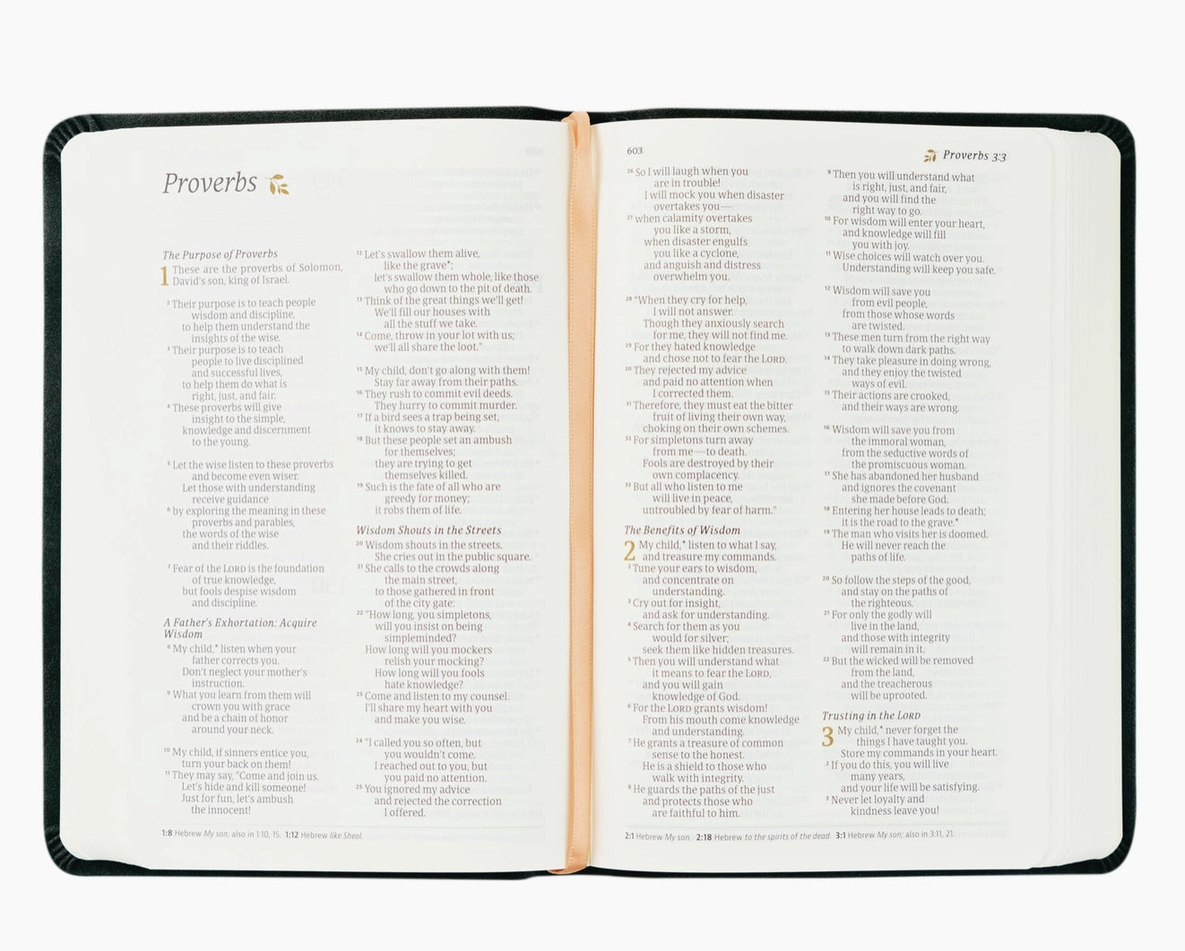 NLT Compact Bible: Jerusalem Theme