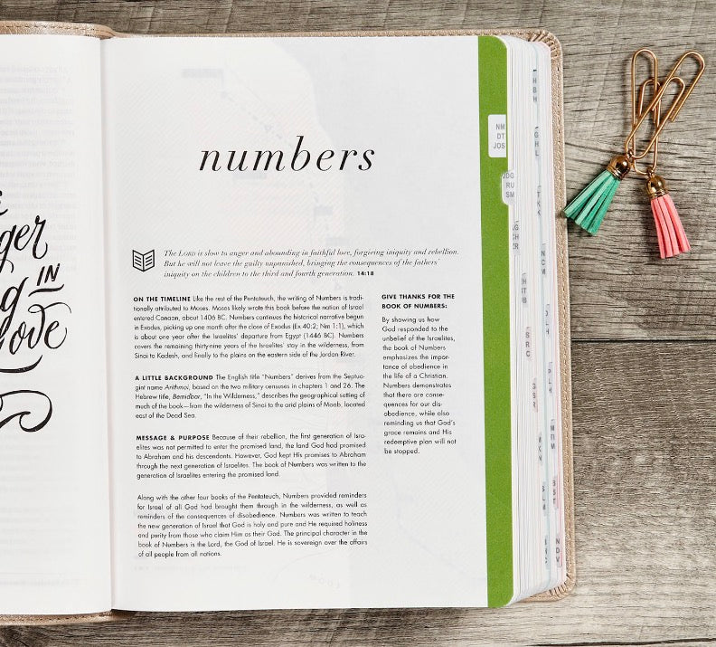CSB She Reads Truth Bible | Champagne LeatherTouch