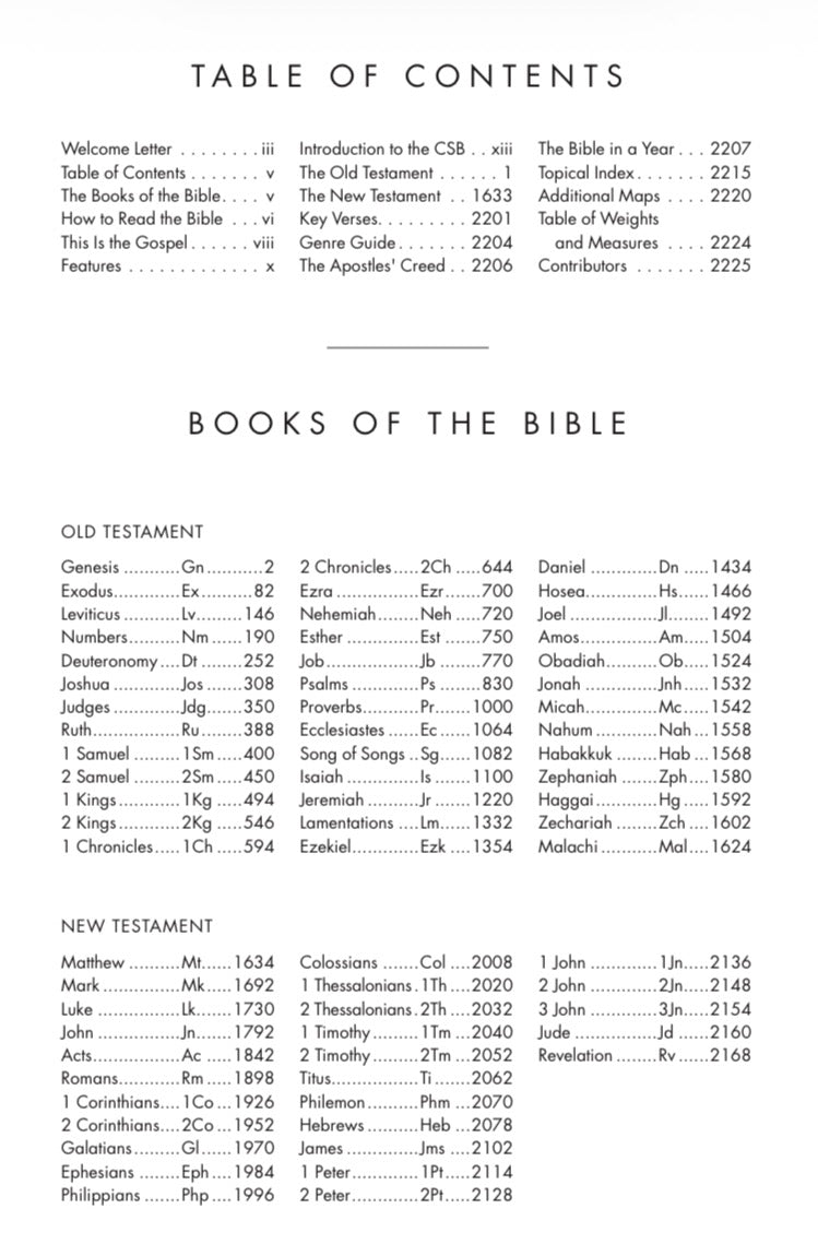 CSB She Reads Truth Bible | Champagne LeatherTouch