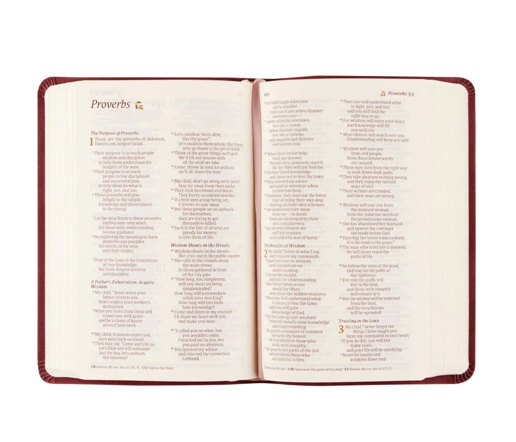 NLT Compact Bible: Helena Theme