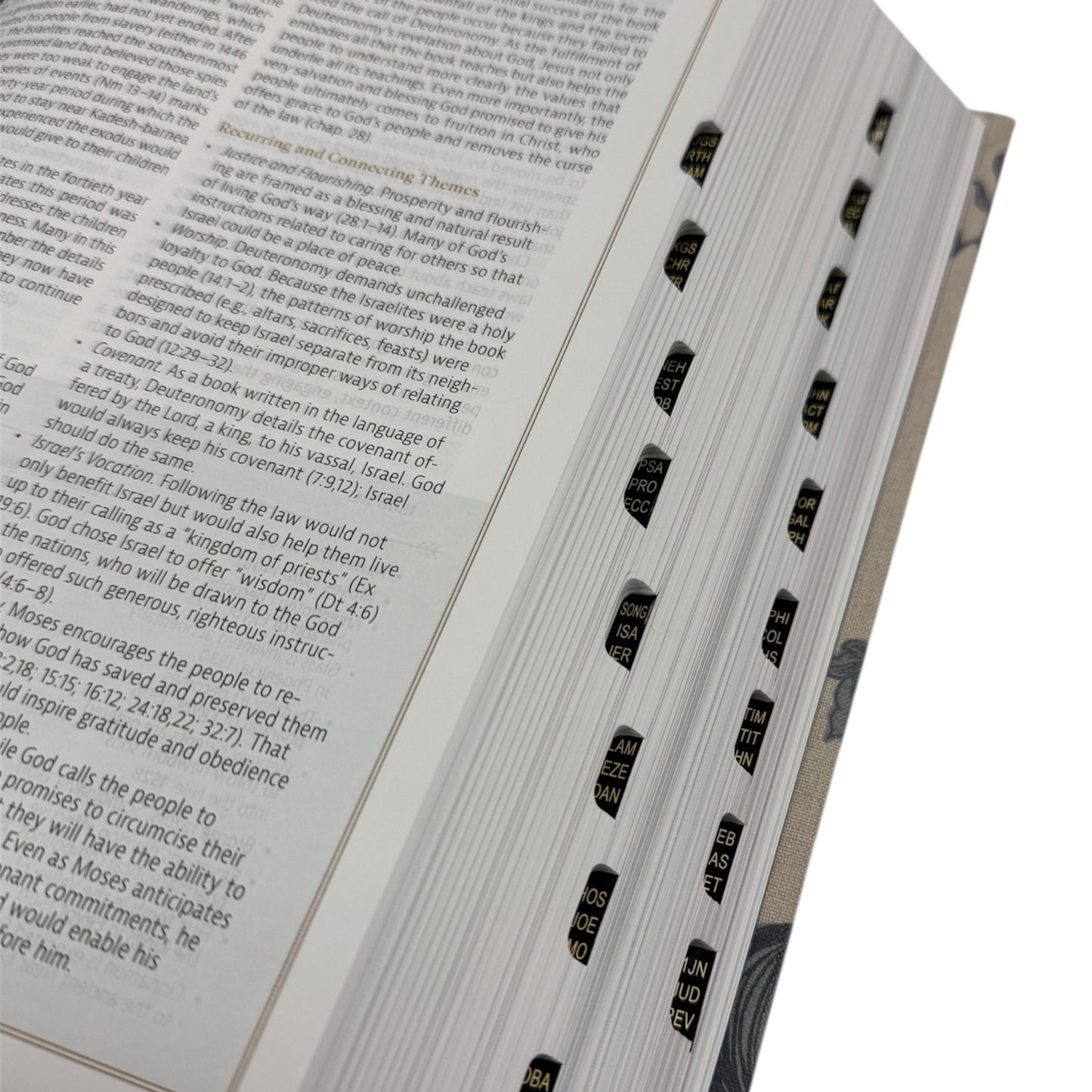 Abundant Harvest CSB Study Bible